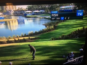 Mardy Fish hitting his final tee shot at the 2018 Diamond Resorts Invitational